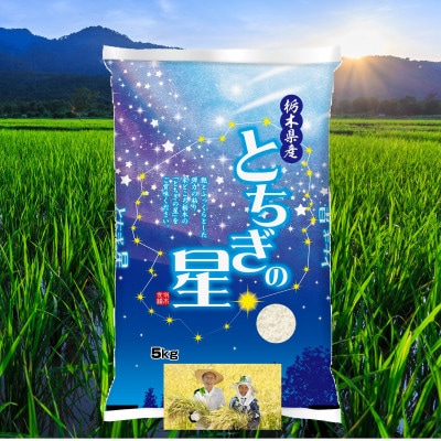 【令和7年産新米】栃木県産とちぎの星 精米5kg　栃木県共通返礼品・栃木県産