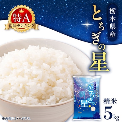 【令和7年産新米】 特A とちぎの星 精米 5kg 栃木県産 令和大嘗祭献上 の お米