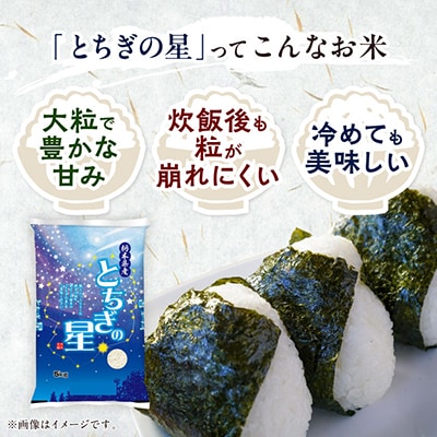 【令和7年産新米】 特A とちぎの星 精米 5kg 栃木県産 令和大嘗祭献上 の お米