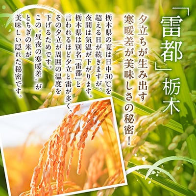 【令和7年産新米】 特A とちぎの星 精米 5kg 栃木県産 令和大嘗祭献上 の お米