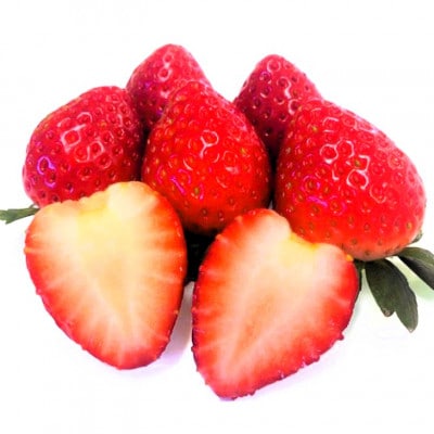 《数量限定》いちご とちあいか 約1kg(約250g×4パック) 栃木県産 1月中旬より順次発送開始