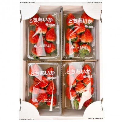 《数量限定》いちご とちあいか 約1kg(約250g×4パック) 栃木県産 1月中旬より順次発送開始