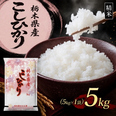 【令和8年産 新米】【食味鑑定士厳選】栃木県産 コシヒカリ 5kg(5kg×1袋)(さくら市)