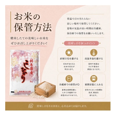 【令和8年産 新米】【食味鑑定士厳選】栃木県産 コシヒカリ　15kg(5kg×3袋)(さくら市)