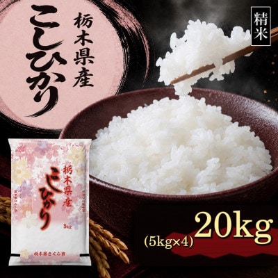 【令和8年産 新米】【食味鑑定士厳選】栃木県産 コシヒカリ 20kg(5kg×4袋)(さくら市)