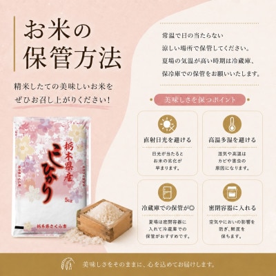 【令和8年産 新米】【食味鑑定士厳選】栃木県産 コシヒカリ 20kg(5kg×4袋)(さくら市)