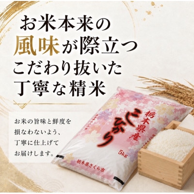 《無洗米》【令和8年産新米】【食味鑑定士厳選】栃木県産コシヒカリ 5kg(5kg×1袋)(さくら市)