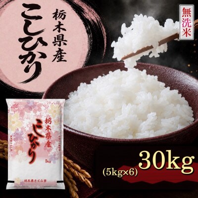《無洗米》【令和8年産新米】【食味鑑定士厳選】栃木県産コシヒカリ30kg(5kg×6袋)(さくら市)