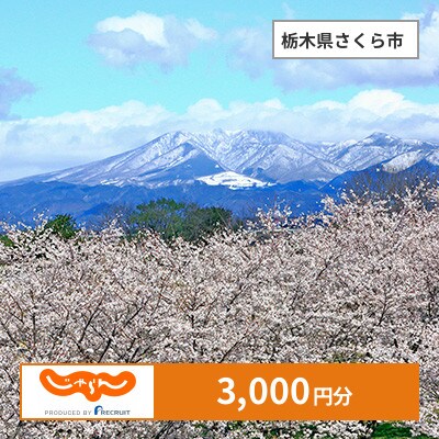 【じゃらんふるさと納税クーポン】 栃木県さくら市でつかえる3,000円 クーポン