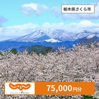 【じゃらんふるさと納税クーポン】 栃木県さくら市でつかえる75,000円 クーポン