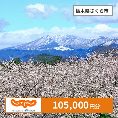 【じゃらんふるさと納税クーポン】 栃木県さくら市でつかえる105,000円 クーポン