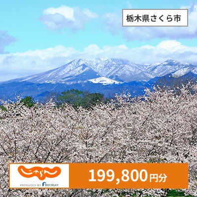 【じゃらんふるさと納税クーポン】 栃木県さくら市でつかえる199,800円 クーポン