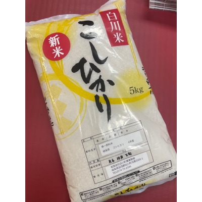 白川米コシヒカリ　5kg