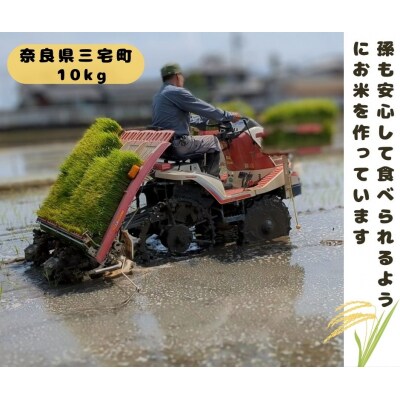 ひのひかり 白米 10kg 奈良県 三宅町 ヒノヒカリ 堆肥 ミネラル栽培 志埜米穀店