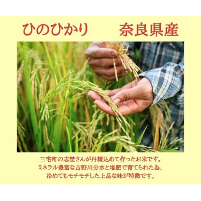 ひのひかり 白米 10kg 奈良県 三宅町 ヒノヒカリ 堆肥 ミネラル栽培 志埜米穀店