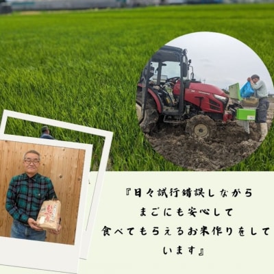 ひのひかり 白米 10kg 奈良県 三宅町 ヒノヒカリ 堆肥 ミネラル栽培 志埜米穀店