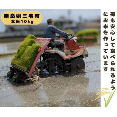 ひのひかり 玄米 10kg 奈良県 三宅町 ヒノヒカリ 堆肥 ミネラル栽培 志埜米穀店