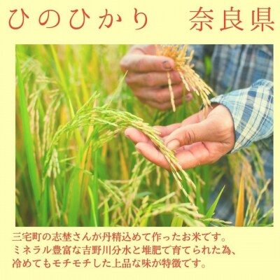 ひのひかり 玄米 10kg 奈良県 三宅町 ヒノヒカリ 堆肥 ミネラル栽培 志埜米穀店
