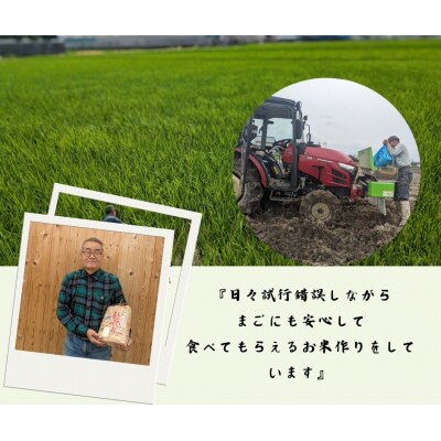 ひのひかり 玄米 5kg 奈良県 三宅町 ヒノヒカリ 堆肥 ミネラル栽培 志埜米穀店