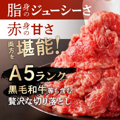 お試し ! 厳選 ! 国産 牛肉 切り落とし 400g 小分け 真空パック (200g×2) 