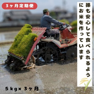 【3回定期便】ひのひかり 白米5kg×3回 全15kg 奈良県 三宅町 ヒノヒカリ 志埜米穀店