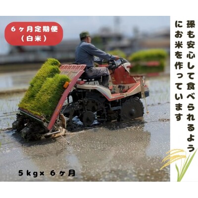 【6回定期便】ひのひかり 白米 5kg×6回 全30kg 奈良県 三宅町 ヒノヒカリ 志埜米穀店