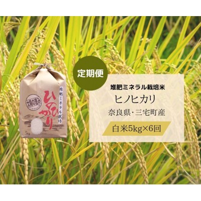 【6回定期便】ひのひかり 白米 5kg×6回 全30kg 奈良県 三宅町 ヒノヒカリ 志埜米穀店