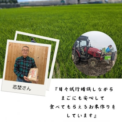 【6回定期便】ひのひかり 白米 5kg×6回 全30kg 奈良県 三宅町 ヒノヒカリ 志埜米穀店