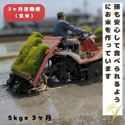 【3回定期便】ひのひかり 玄米5kg×3回 全15kg 奈良県 三宅町 ヒノヒカリ 志埜米穀店