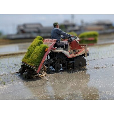 【3回定期便】ひのひかり 玄米5kg×3回 全15kg 奈良県 三宅町 ヒノヒカリ 志埜米穀店