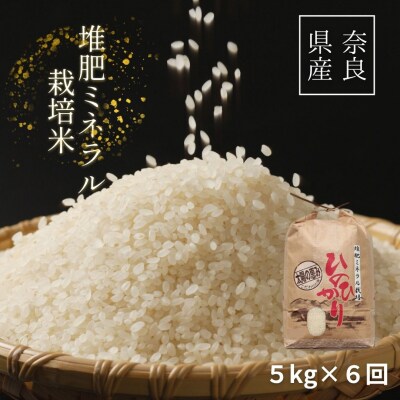 【6回定期便】ひのひかり 玄米 5kg×6回 全30kg 奈良県 三宅町 ヒノヒカリ 志埜米穀店