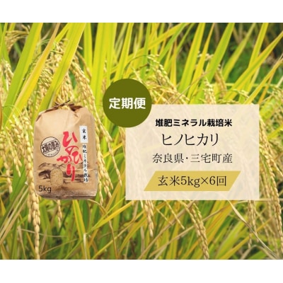 【6回定期便】ひのひかり 玄米 5kg×6回 全30kg 奈良県 三宅町 ヒノヒカリ 志埜米穀店