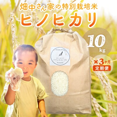 【3回定期便】減農薬 特別栽培米 畑中さん ひのひかり 白米 10kg ヒノヒカリ 奈良県
