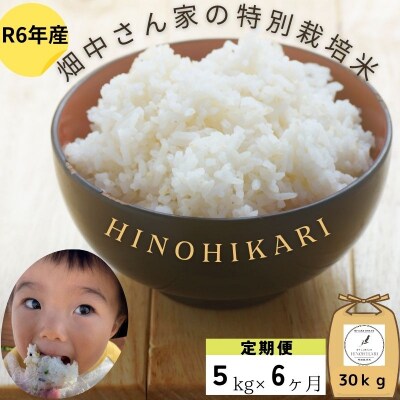【6回定期便】減農薬米 特別栽培米 畑中さんの ひのひかり 白米5kg ヒノヒカリ 奈良県 三宅町