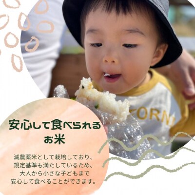 【6回定期便】減農薬米 特別栽培米 畑中さんの ひのひかり 白米5kg ヒノヒカリ 奈良県 三宅町