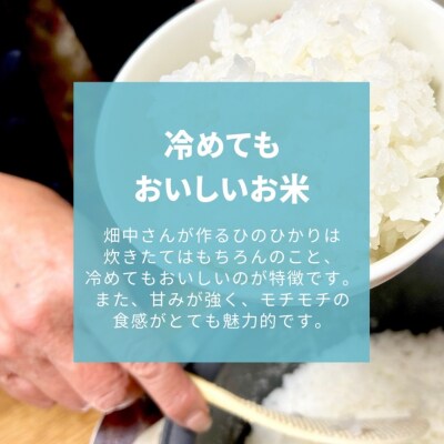 【6回定期便】減農薬米 特別栽培米 畑中さんの ひのひかり 白米5kg ヒノヒカリ 奈良県 三宅町