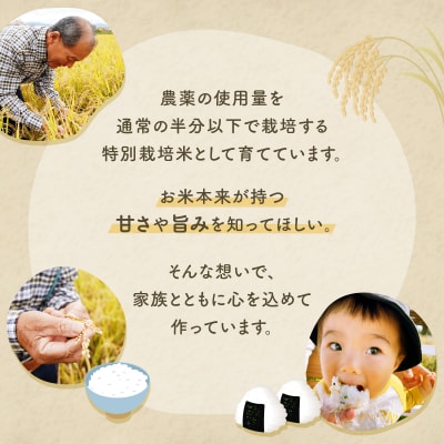 【6回定期便】減農薬 特別栽培米 畑中さん ひのひかり 白米 5kg ヒノヒカリ 奈良県