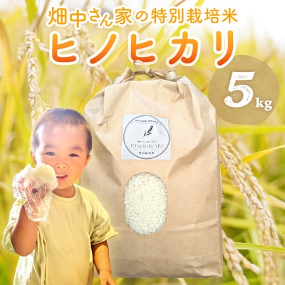 特別栽培米 減農薬 畑中さんの ひのひかり 玄米5kg ヒノヒカリ 奈良県 三宅町