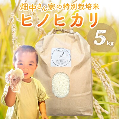 特別栽培米 減農薬 畑中さんの ひのひかり 玄米5kg ヒノヒカリ 奈良県 三宅町