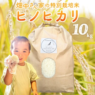 特別栽培米 減農薬 畑中さん ひのひかり 玄米10kg ヒノヒカリ 奈良県 三宅町