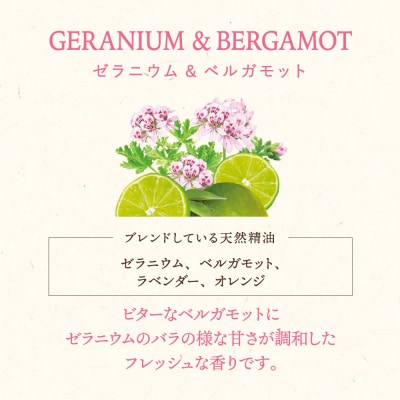 木と果 消臭クリップ つけかえ用 ゼラニウム & ベルガモット 晴香堂 車用 芳香剤 フレグランス