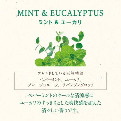木と果 消臭クリップ つけかえ用 ミント & ユーカリ 晴香堂 車用 芳香剤 フレグランス