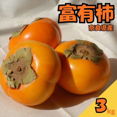 畑中さん の 富有柿 奈良県産 3kg 柿 ご家庭用 甘い 期間限定 果物 フルーツ ギフト