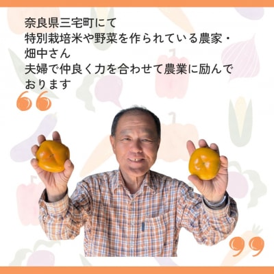 畑中さん の 富有柿 奈良県産 3kg 柿 ご家庭用 甘い 期間限定 果物 フルーツ ギフト