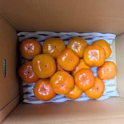 畑中さん の 富有柿 奈良県産 3kg 柿 ご家庭用 甘い 期間限定 果物 フルーツ ギフト