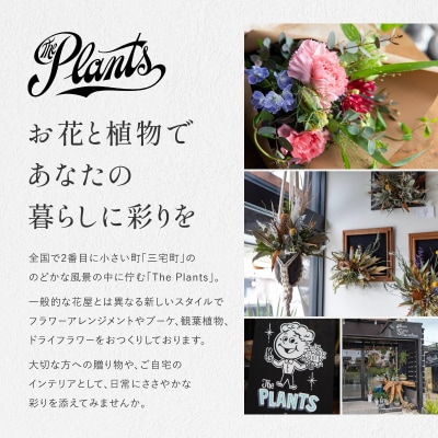 花 ふるさと定期便 3回 お届け 三宅町に住む家族へ 花束 ギフト The Plants:プレミアム