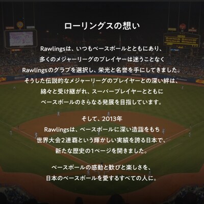 ローリングス (Rawlings) 硬式 キャッチャーミット 大きめ 日本製:右投げ用 ブラック