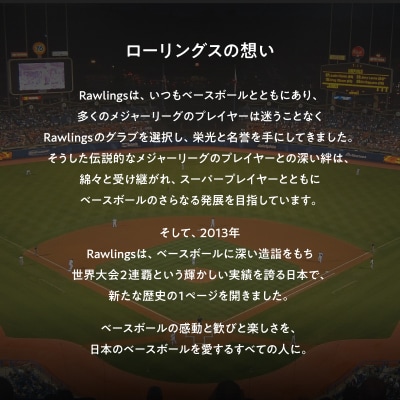 ローリングス (Rawlings) 硬式 キャッチャーミット 大きめ 日本製:右投げ用 バーガンディ