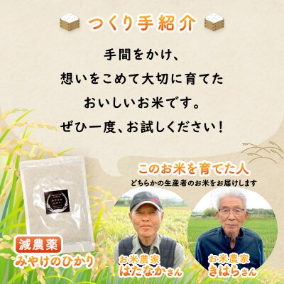 特別栽培米 みやけのひかり 2合 300グラム お試し 減農薬米 奈良県三宅町 白米 ヒノヒカリ