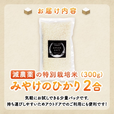 特別栽培米 みやけのひかり 2合 300g お試し 減農薬米 奈良県三宅町 白米 ヒノヒカリ 保存